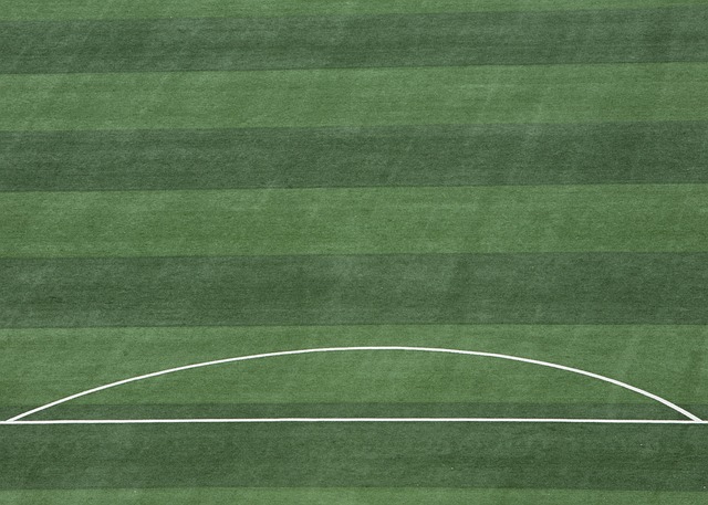 安帅给埃斯特旺批假以考取驾照，并宣布了他通过考试的消息